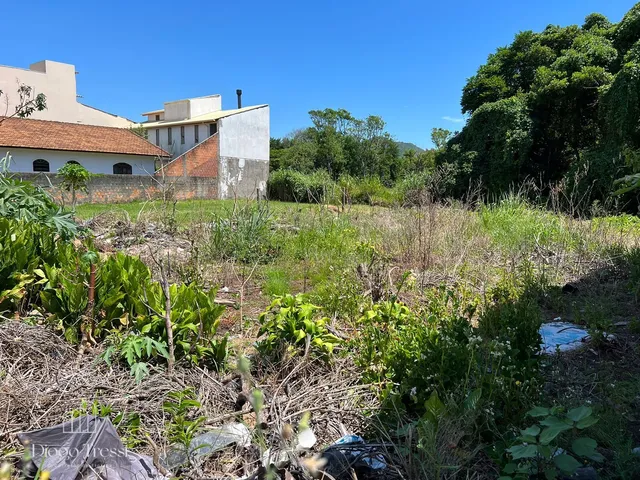 Imagem: Terreno à venda no bairro Ingleses do Rio