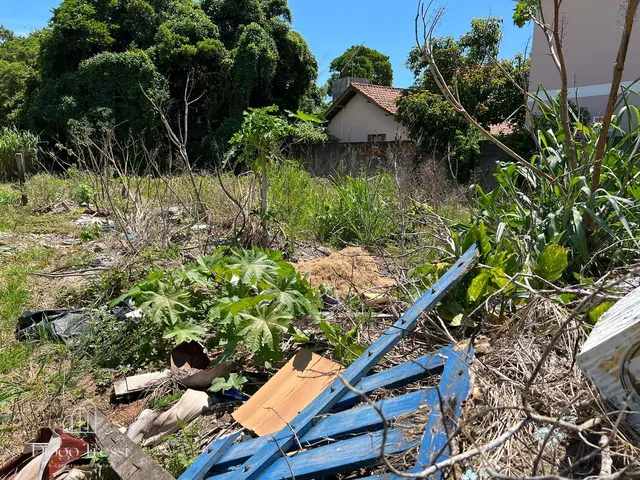 Imagem 3: Terreno à venda no bairro Ingleses do Rio Vermelho - Florianópolis/SC