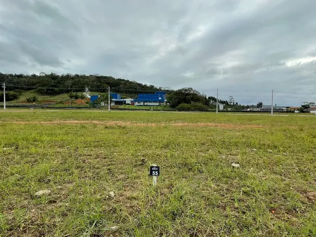 Imagem 6: Terrenos - Penha / Santa Catarina