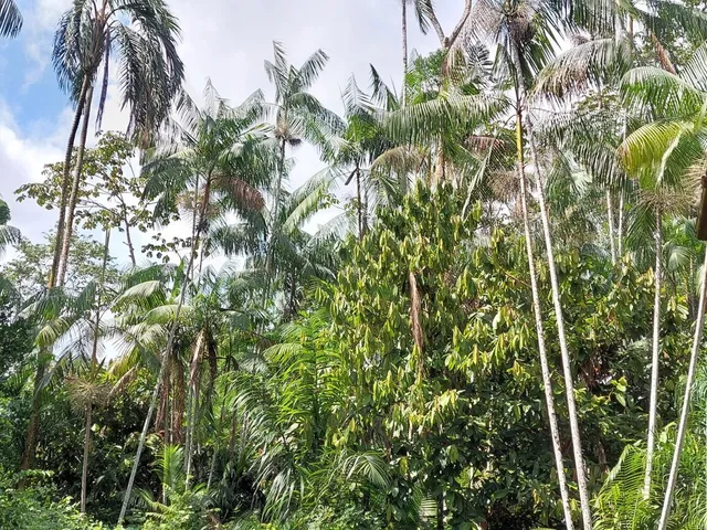 Imagem: Terreno no Loteamento DENPASA na estrada