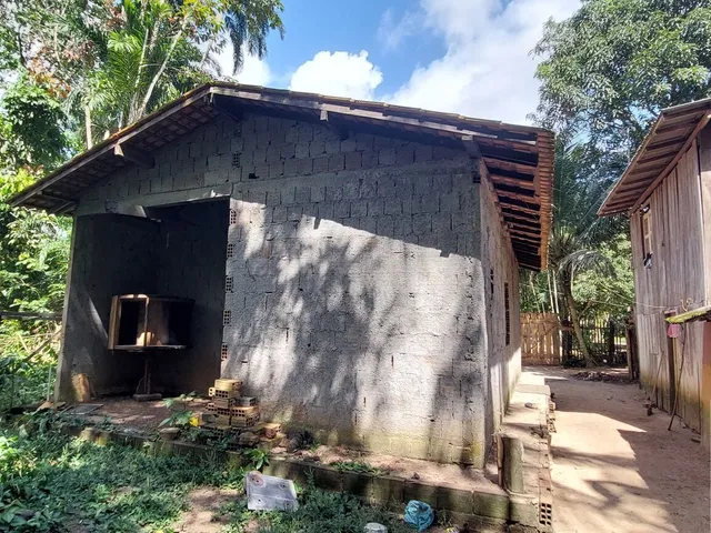 Imagem 2: Terreno no Loteamento DENPASA na estrada de mosqueiro 100 x 1000 plantio de açaí