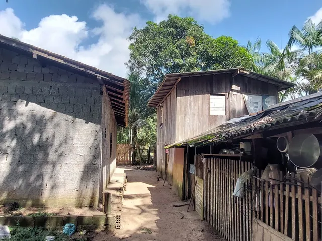 Imagem 4: Terreno no Loteamento DENPASA na estrada de mosqueiro 100 x 1000 plantio de açaí
