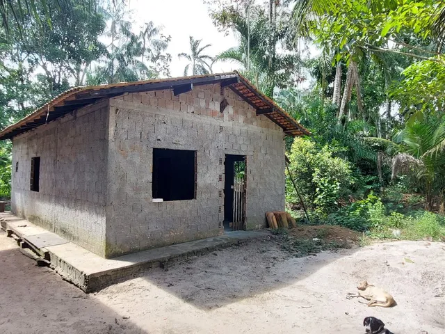 Imagem 5: Terreno no Loteamento DENPASA na estrada de mosqueiro 100 x 1000 plantio de açaí