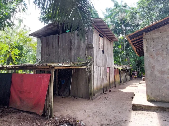 Imagem 8: Terreno no Loteamento DENPASA na estrada de mosqueiro 100 x 1000 plantio de açaí