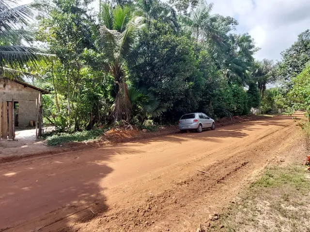 Imagem 3: Terreno no Loteamento DENPASA na estrada de mosqueiro 100 x 1000 plantio de açaí