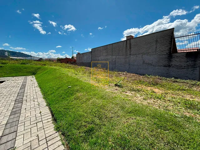 Imagem 3: Terreno 442,81m² no Bairro Quintino