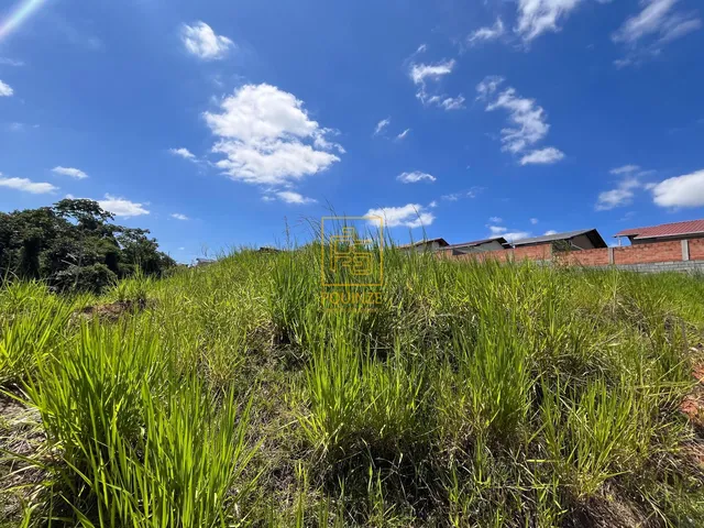 Imagem 6: Amplo Terreno em Indaial