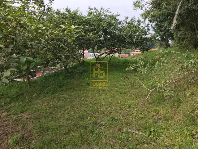 Imagem 2: Terreno no Bairro das Capitais em Timbó