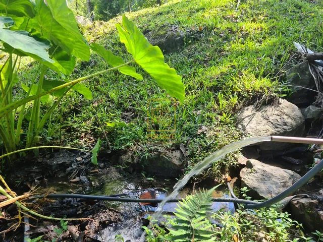 Imagem 2: Sítio encantador a poucos minutos do centro de Timbó