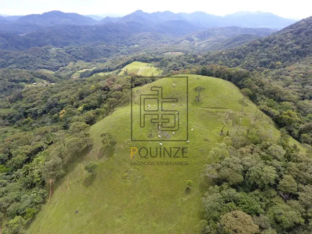 Imagem 13: SÍTIO - VILA ITOUPAVA - BLUMENAU