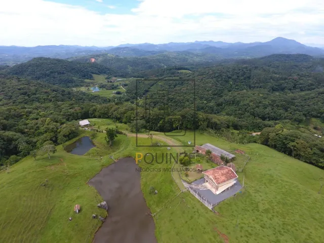 Imagem 8: SÍTIO - VILA ITOUPAVA - BLUMENAU