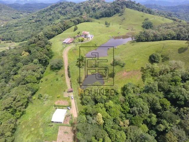 Imagem 10: SÍTIO - VILA ITOUPAVA - BLUMENAU