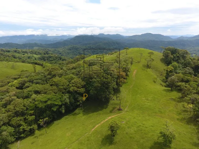 Imagem 5: SÍTIO - VILA ITOUPAVA - BLUMENAU
