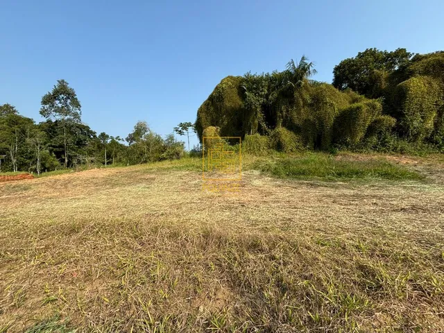 Imagem 2: Terreno plano e bem localizado no bairro Quintino