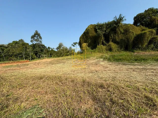 Imagem 4: Terreno plano e bem localizado no bairro Quintino