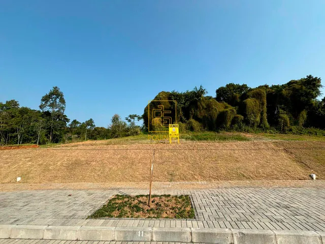 Imagem 3: Terreno plano e bem localizado no bairro Quintino