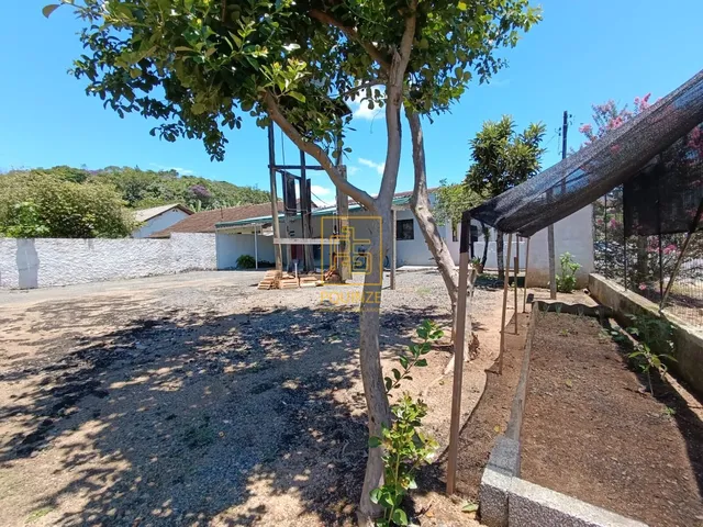 Imagem 3: EXCLUSIVIDADE - Casa com amplo quintal no bairro Pomeranos