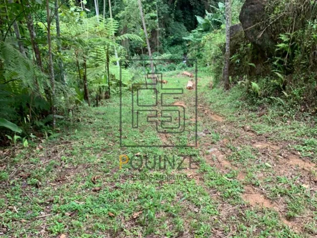 Imagem 4: TERRENO NO ALTO SÃO BERNARDO EM RIO DOS CEDROS 126MIL M²