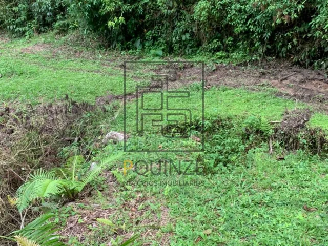 Imagem 9: TERRENO NO ALTO SÃO BERNARDO EM RIO DOS CEDROS 126MIL M²
