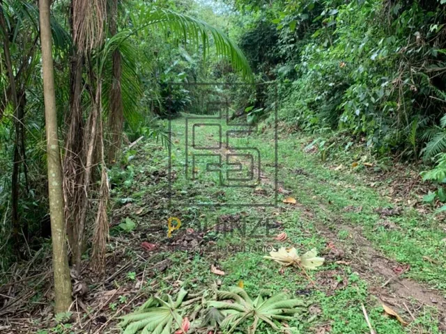 Imagem 3: TERRENO NO ALTO SÃO BERNARDO EM RIO DOS CEDROS 126MIL M²
