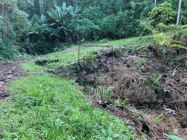 Imagem 2: TERRENO NO ALTO SÃO BERNARDO EM RIO DOS CEDROS 126MIL M²