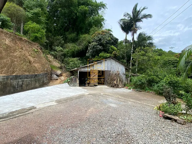 Imagem 7: Sítio com nascente em Benedito Novo