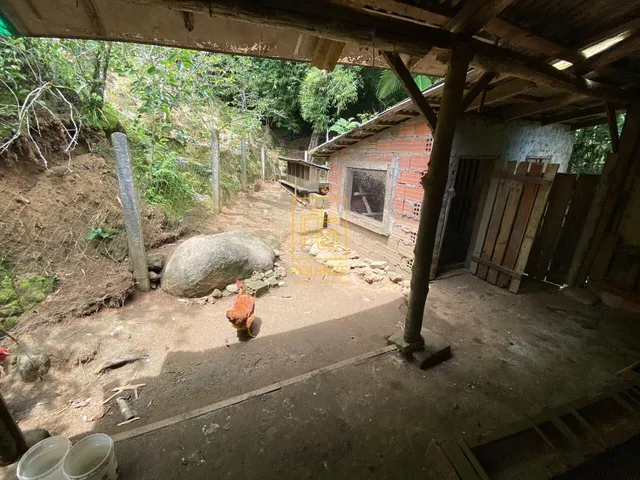 Imagem 11: Sítio com nascente em Benedito Novo