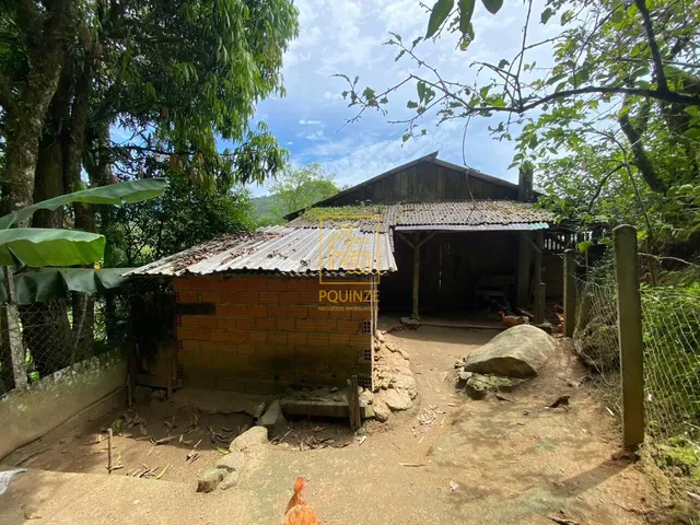 Imagem 14: Sítio com nascente em Benedito Novo