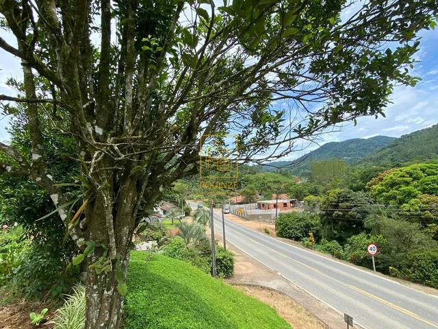 Imagem 3: Sítio com nascente em Benedito Novo