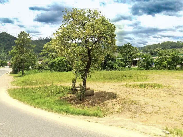 Imagem: Terreno em Benedito Novo