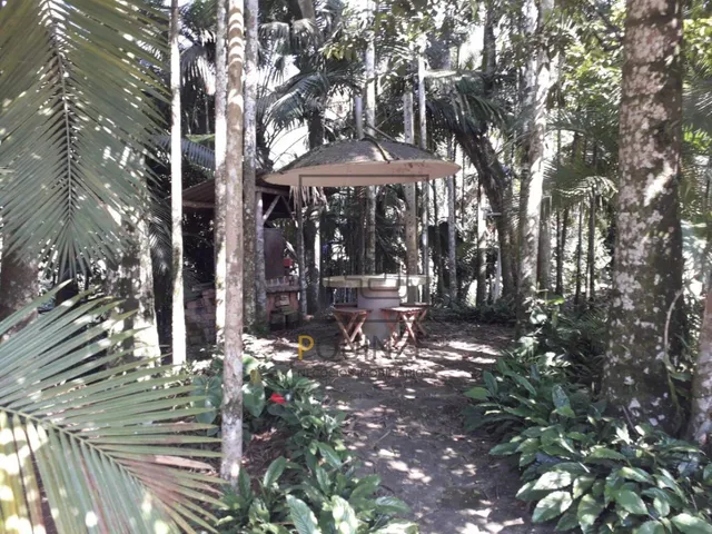 Imagem 9: SITIO NO BAIRRO ARAPONGUINHAS