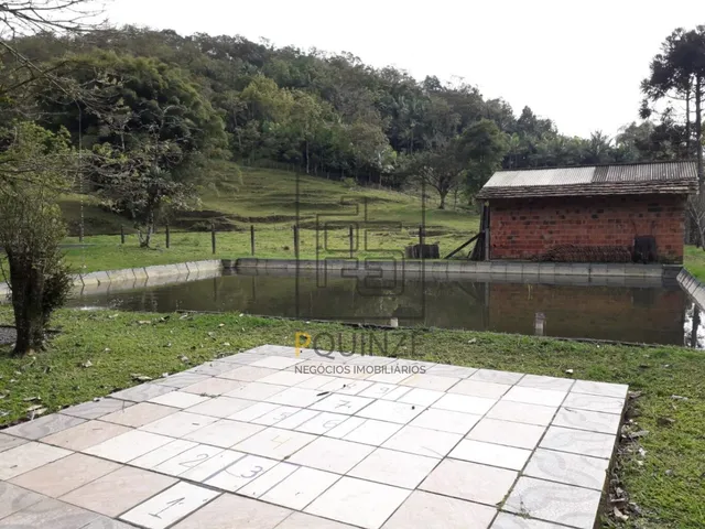 Imagem 16: SITIO NO BAIRRO ARAPONGUINHAS