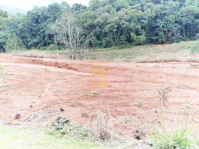 Imagem 5: Terreno no Bairro Araponguinhas em Timbó