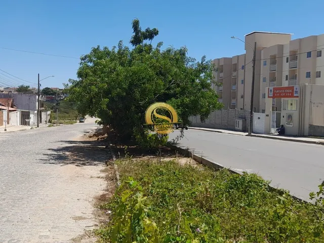 Imagem 8: Terreno Lote no Portal Sudoeste primeira etapa em rua principal nascente