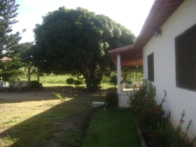 Imagem 5: Granja próximo a lagoa do Bomfim