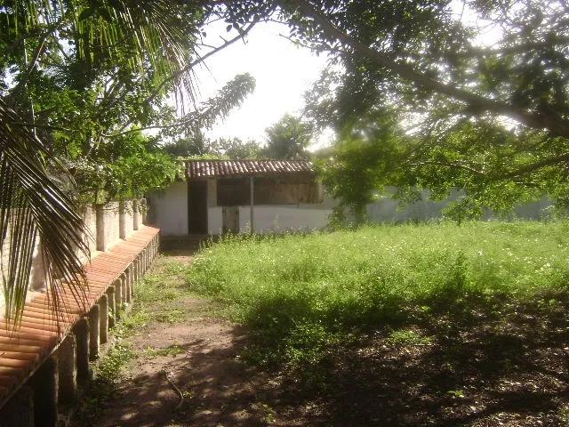 Imagem 6: Granja próximo a lagoa do Bomfim