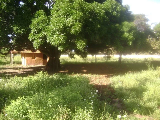 Imagem 9: Granja próximo a lagoa do Bomfim
