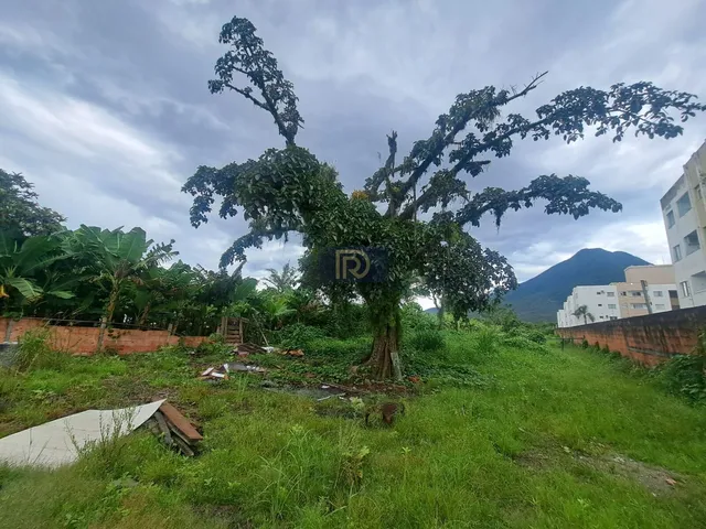 Imagem: Área à venda no bairro Aririú da Formiga