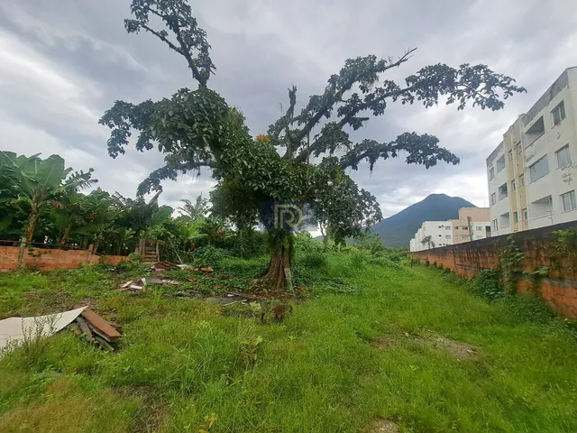 Imagem 4: Área à venda no bairro Aririú da Formiga - Palhoça/SC