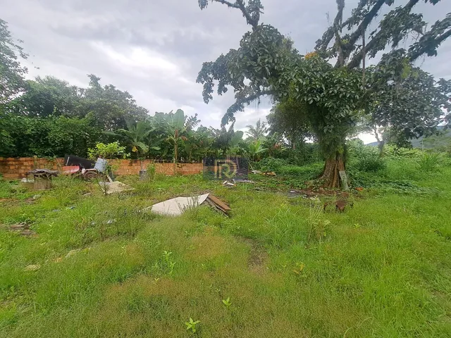 Imagem 10: Área à venda no bairro Aririú da Formiga - Palhoça/SC