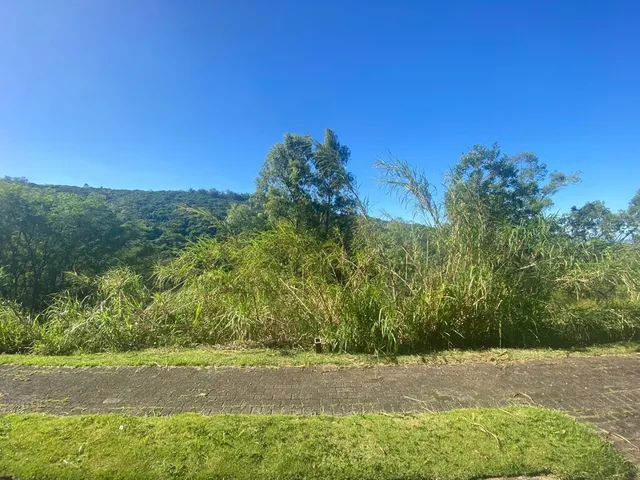 Imagem 6: Terreno à venda no bairro Santa Isabel - Viamão/RS