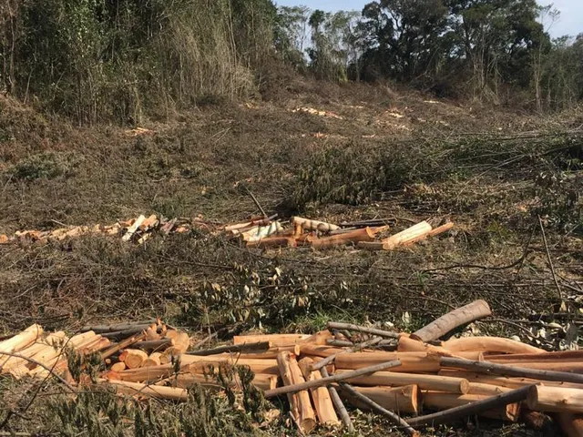 Imagem: Sítio na Linha Marcondes Gramado com 8,9he