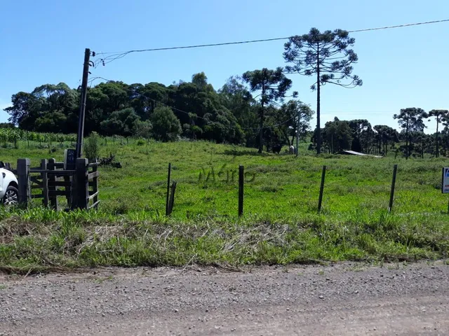 Imagem 2: Sitio Serra Grande Tres Coroas - Gramado