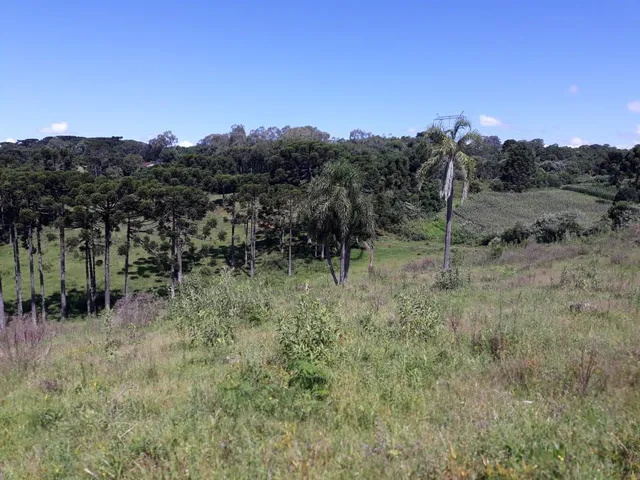 Imagem 4: Sitio Serra Grande Tres Coroas - Gramado