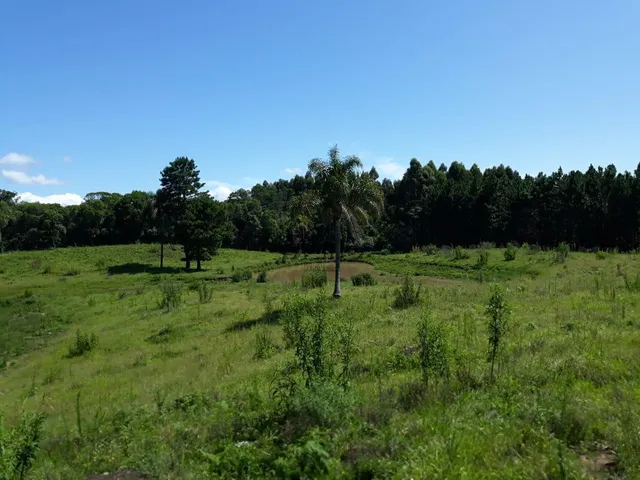 Imagem 5: Sitio Serra Grande Tres Coroas - Gramado