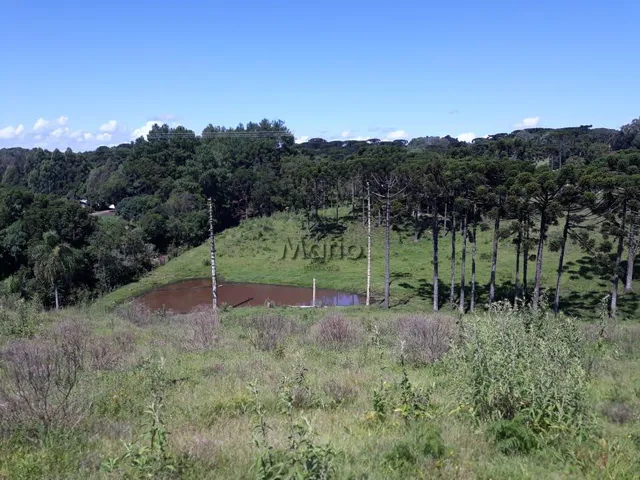 Imagem 7: Sitio Serra Grande Tres Coroas - Gramado