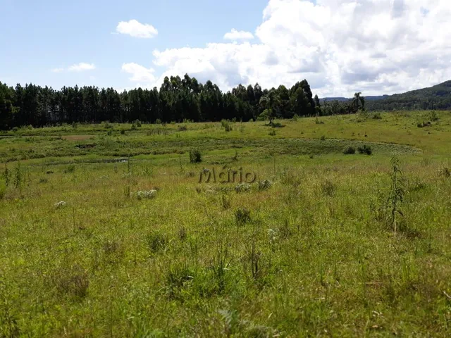 Imagem 9: Sitio Serra Grande Tres Coroas - Gramado