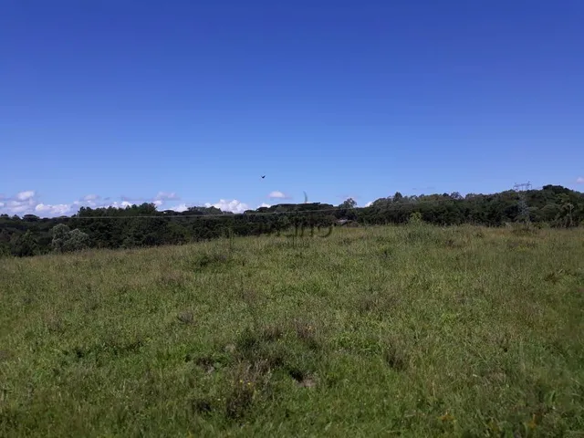 Imagem 10: Sitio Serra Grande Tres Coroas - Gramado