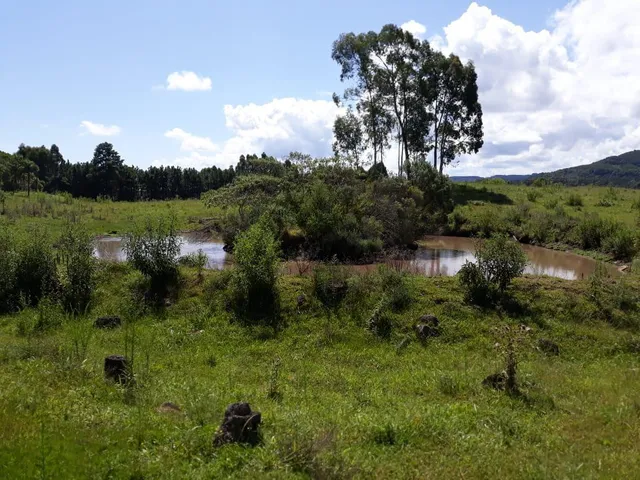 Imagem 11: Sitio Serra Grande Tres Coroas - Gramado
