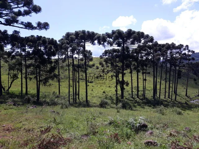 Imagem 13: Sitio Serra Grande Tres Coroas - Gramado